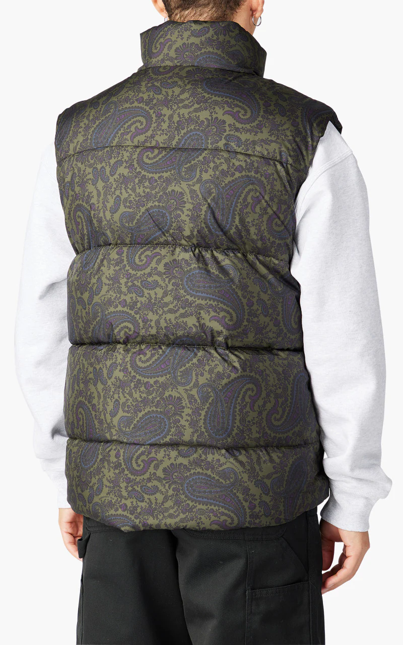 Carhartt WIP Springfield Vest Paisley Print Plant/Black - Image 7