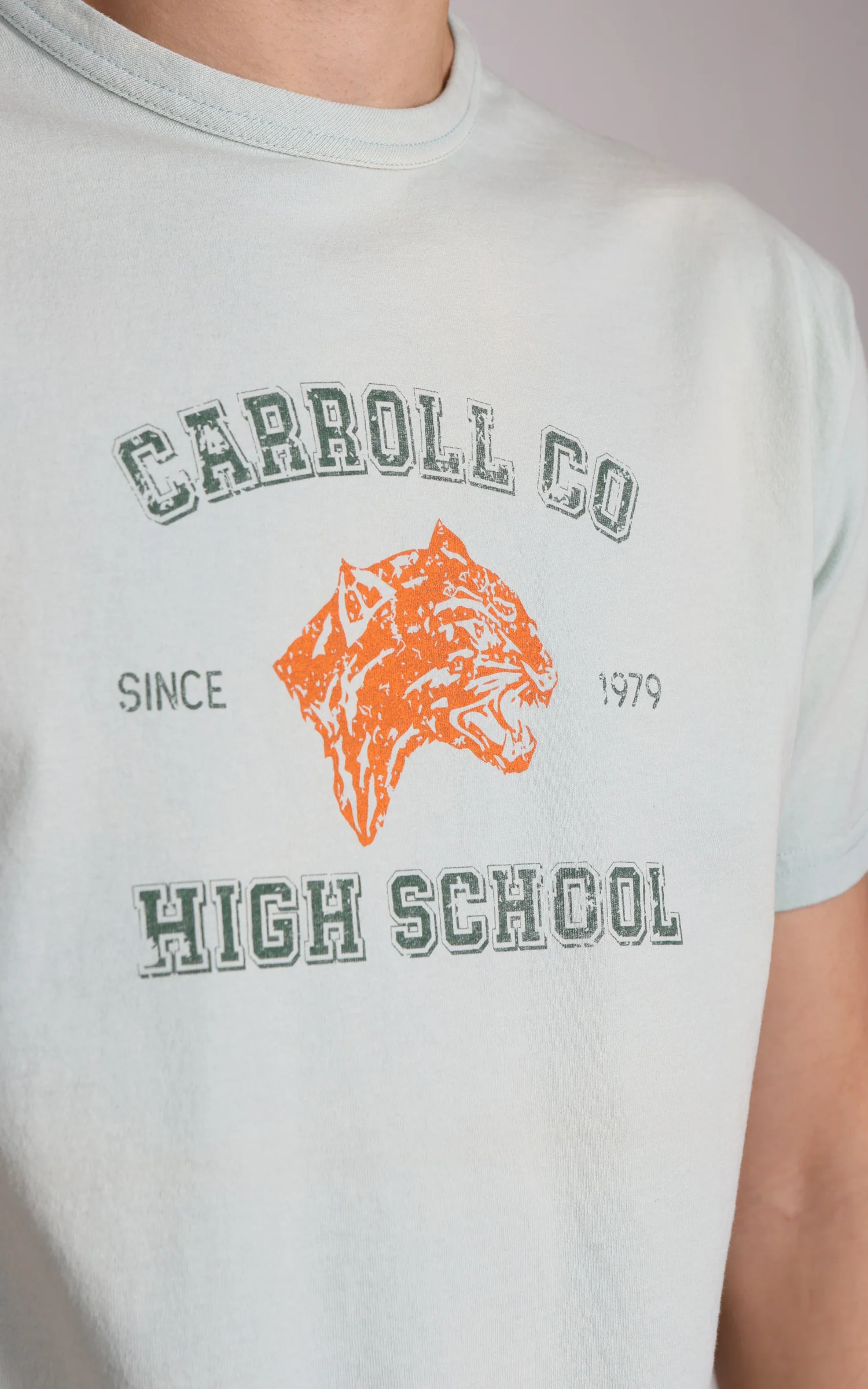 Flea-T T-Shirt Carroll Co. Pigment Dyed Grey - Image 4