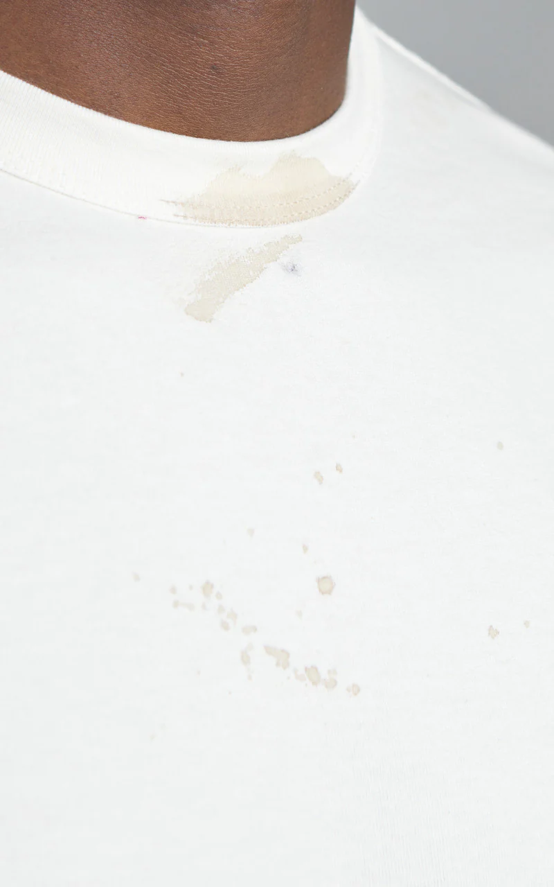 Flea-T T-Shirt Pigment Dyed White - Image 5