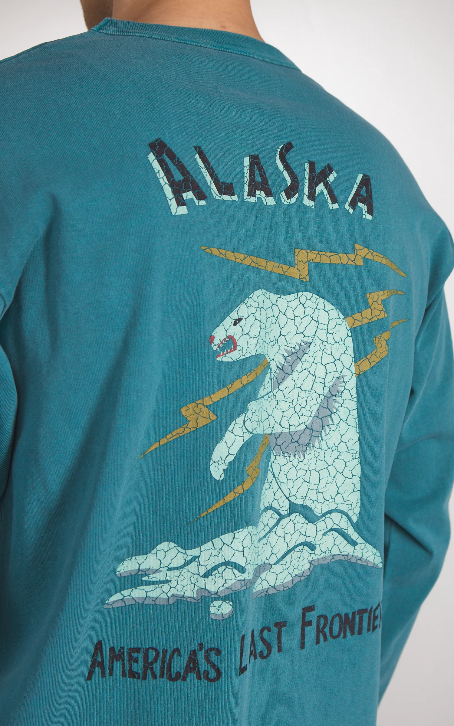 Houston US Cotton Pigment Print (Alaska) L/S T-Shirt Turquoise - Image 5