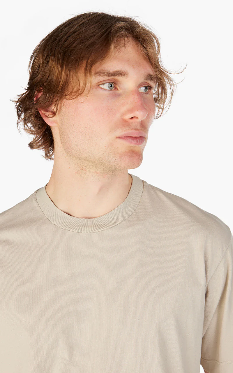Lady White Co. Athens T-Shirt Pale Clay - Image 5