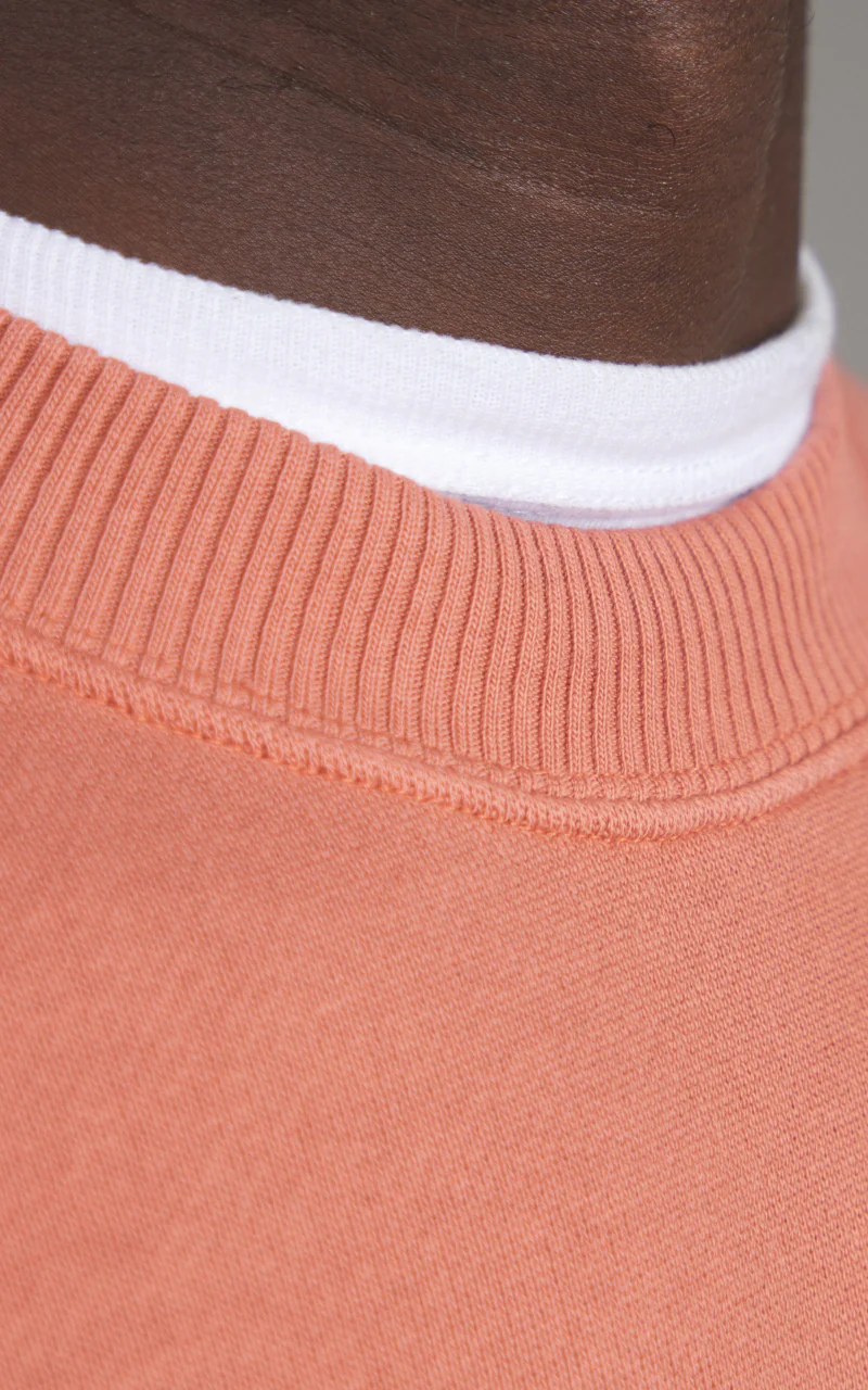 Merz b. Schwanen RGSW01 Sweatshirt Prucerose - Image 4