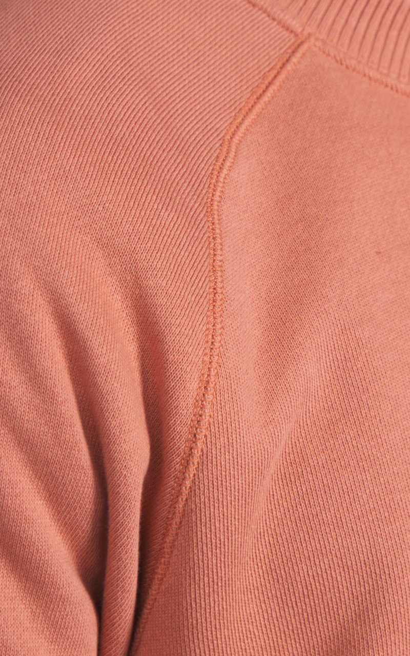 Merz b. Schwanen RGSW01 Sweatshirt Prucerose - Image 7