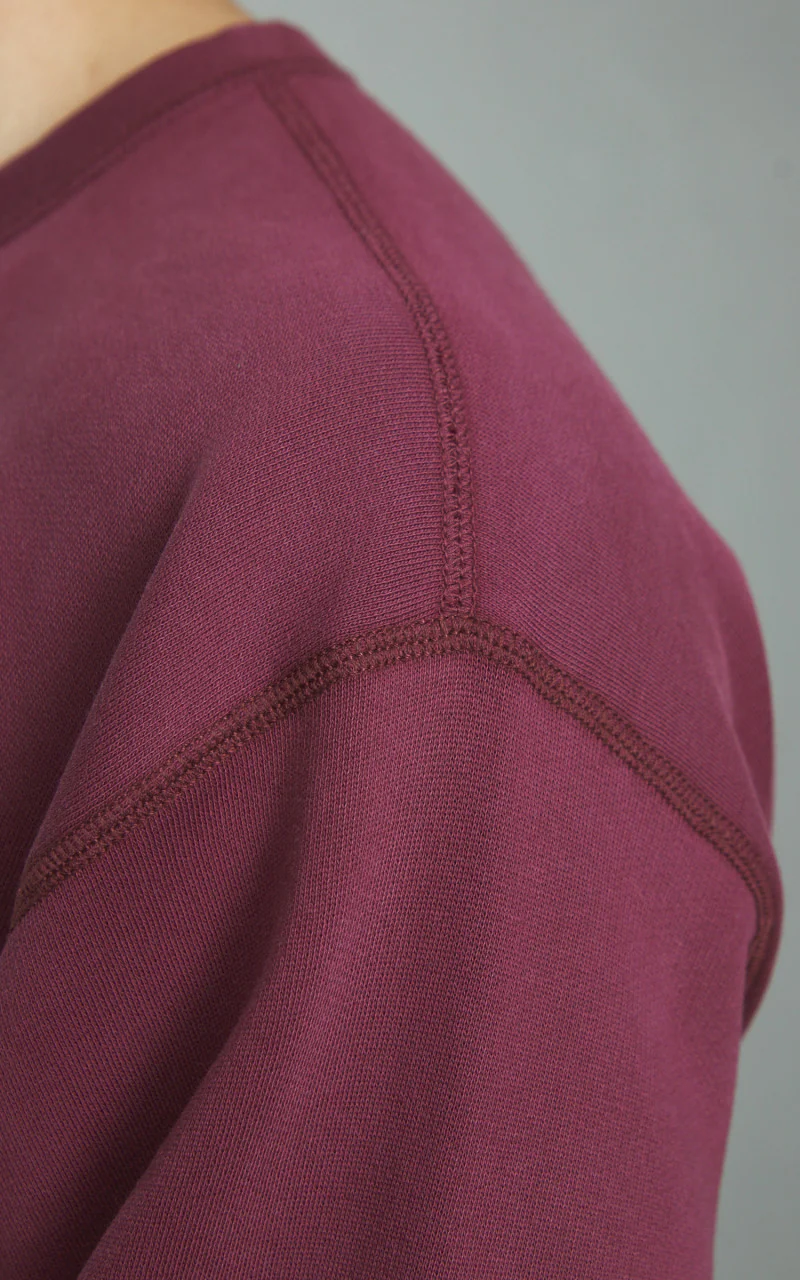 Polo Ralph Lauren Vintage Fit Fleece Graphic Sweatshirt Classic Wine - Image 6