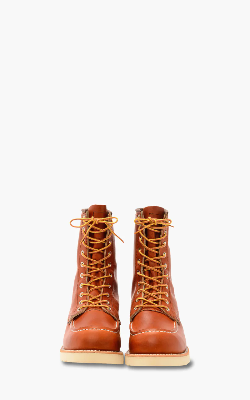 877D Irish Setter Oro-Legacy - Image 3